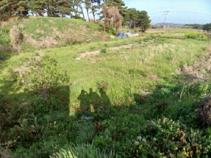 충청남도 서산시 고북면 봉생리 570-11 창고 경매 사진 32