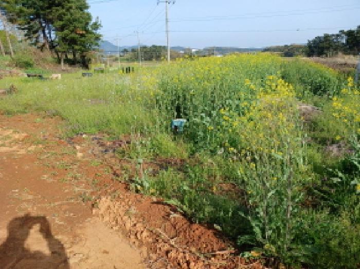 충청남도 서산시 고북면 봉생리 570-11 창고 경매 사진 36