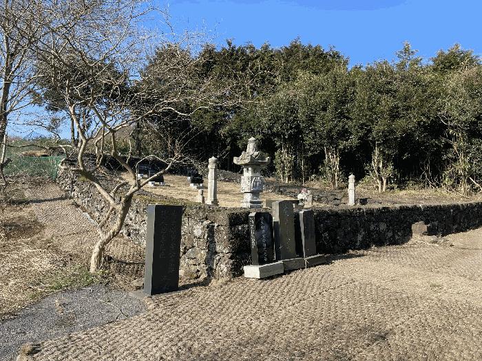 제주특별자치도 제주시 구좌읍 덕천리 1774 전 경매 사진 8