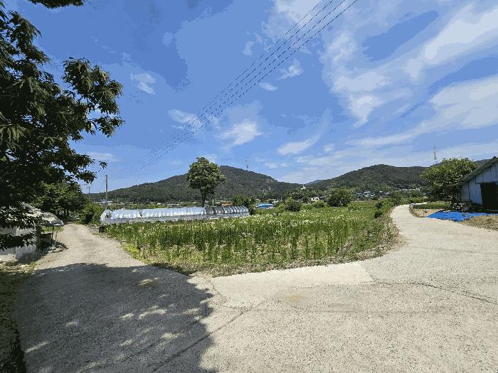 충청남도 당진시 구룡동 525 전 경매 사진 5