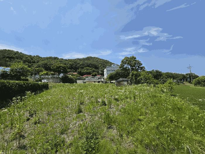 충청남도 당진시 구룡동 525 전 경매 사진 7