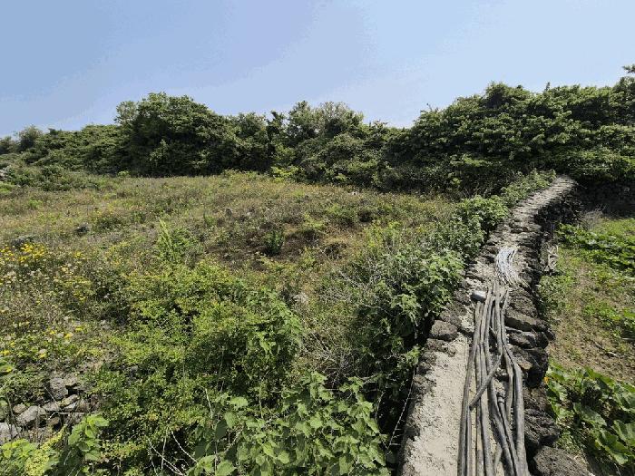 제주특별자치도 제주시 한경면 용수리 825-3 전 경매 사진 6