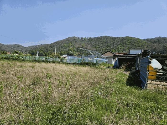 경상북도 경주시 감포읍 오류리 725 펜션(캠핑장) 경매 사진 13