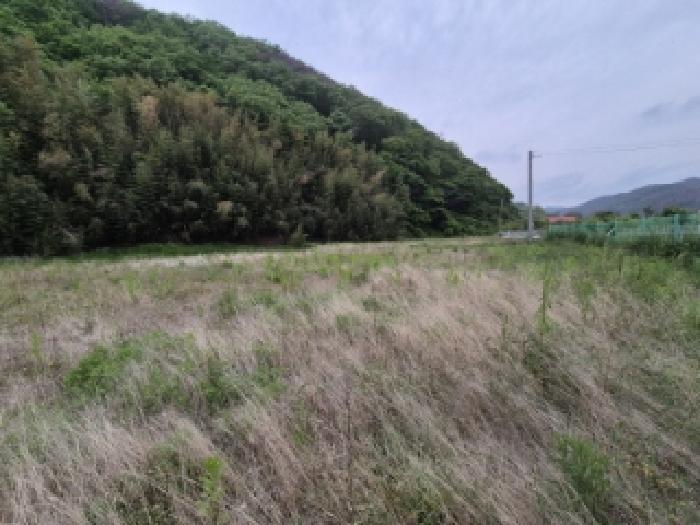 경상북도 경주시 감포읍 오류리 462 전 경매 사진 17