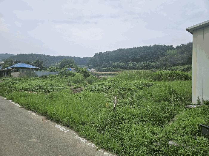 경상북도 경주시 안강읍 사방리 681 답 경매 사진 2