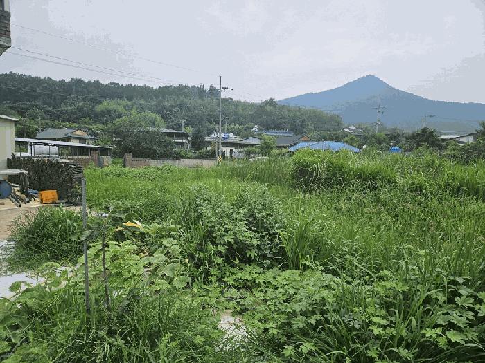 경상북도 경주시 안강읍 사방리 681 답 경매 사진 3