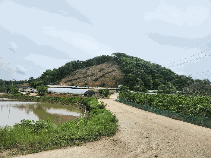 충청남도 홍성군 은하면 대판리 150-1 축사(농가시설) 경매 사진 14
