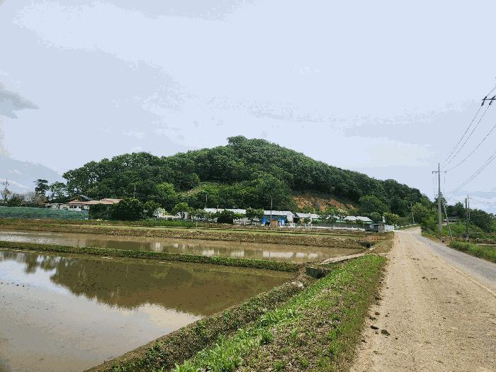 충청남도 홍성군 은하면 대판리 150-1 축사(농가시설) 경매 사진 16