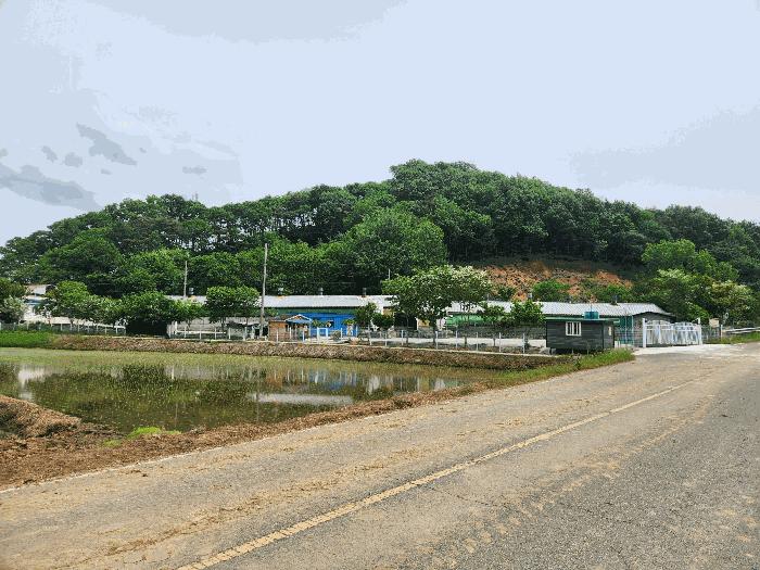 충청남도 홍성군 은하면 대판리 150-1 축사(농가시설) 경매 사진 17
