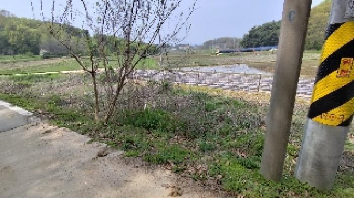 충청남도 홍성군 홍동면 금평리 149 전 경매 사진 13