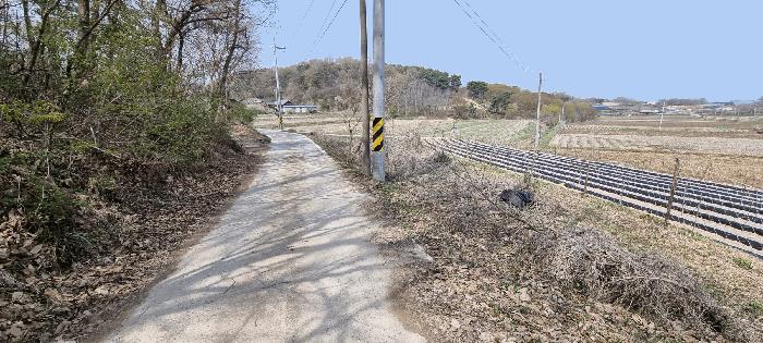 충청남도 홍성군 홍동면 금평리 149 전 경매 사진 5