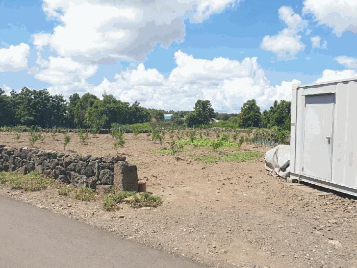 제주특별자치도 제주시 애월읍 곽지리 160 전 경매 사진 7