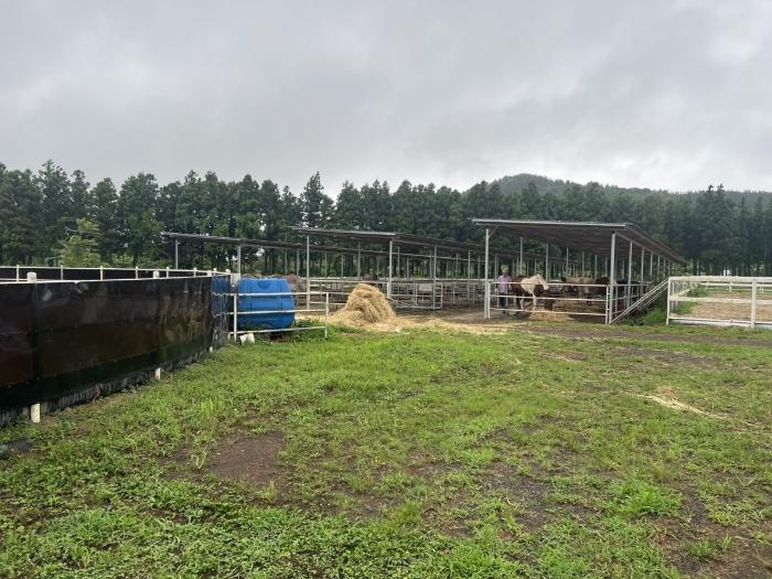 제주특별자치도 제주시 구좌읍 김녕리 861 창고 경매 사진 14