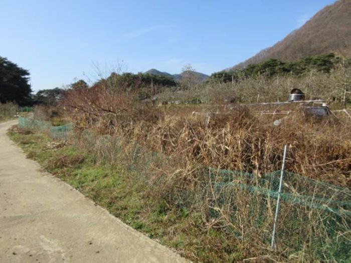 경상북도 문경시 마성면 하내리 산16 임야 경매 사진 9