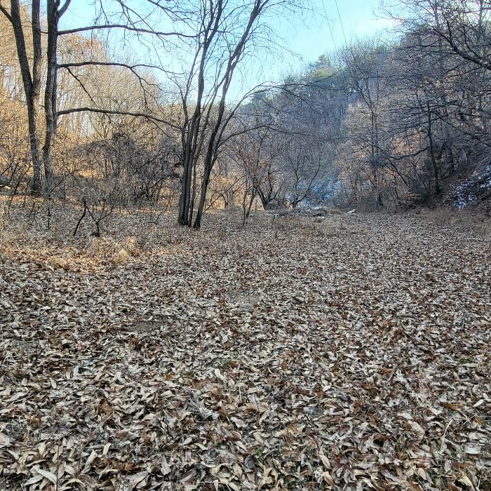경상북도 예천군 호명읍 원곡리 336 전 경매 사진 2