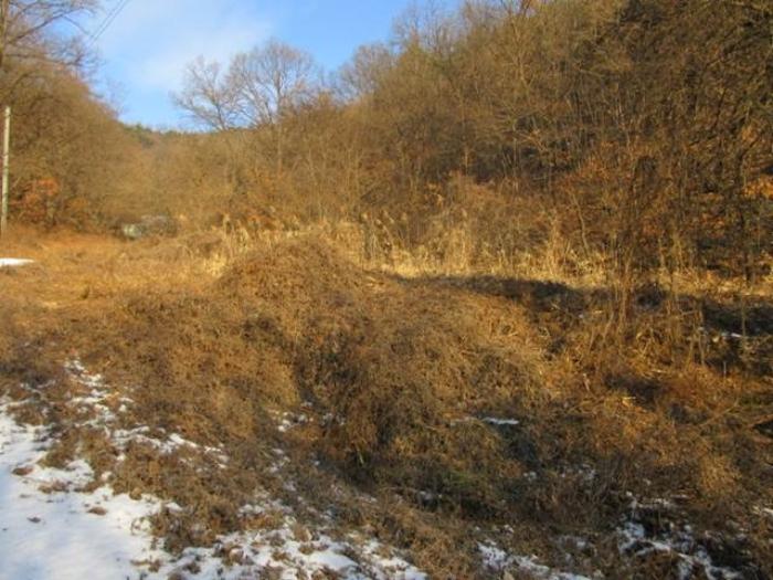 경상북도 예천군 호명읍 원곡리 336 전 경매 사진 5