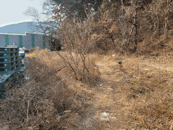 경상남도 양산시 평산동 683-2 답 경매 사진 11