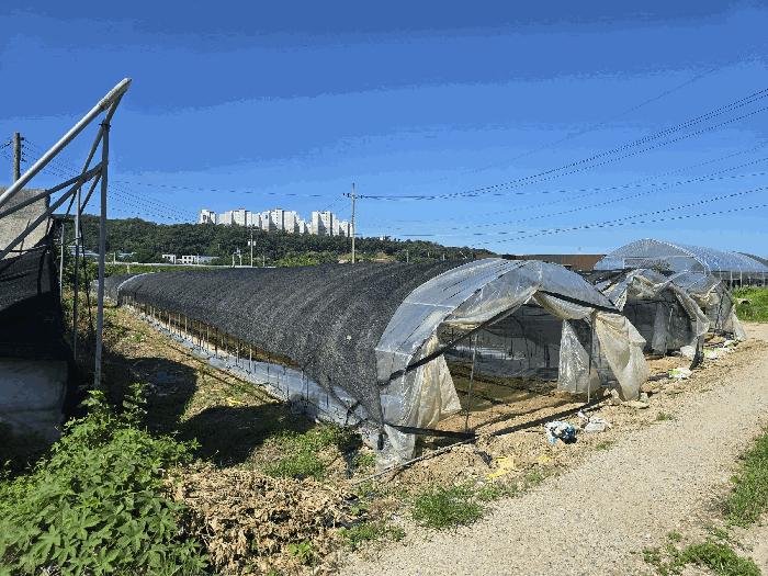 경기도 양주시 봉양동 354-1 전 경매 사진 3
