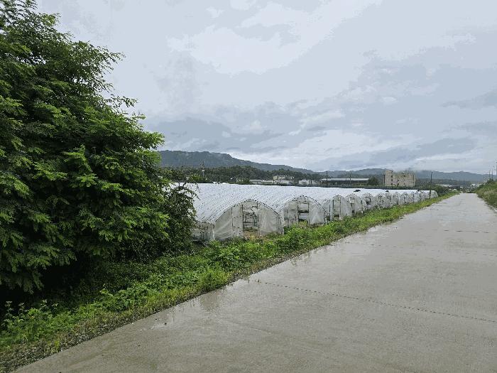 경기도 양주시 봉양동 354-1 전 경매 사진 5