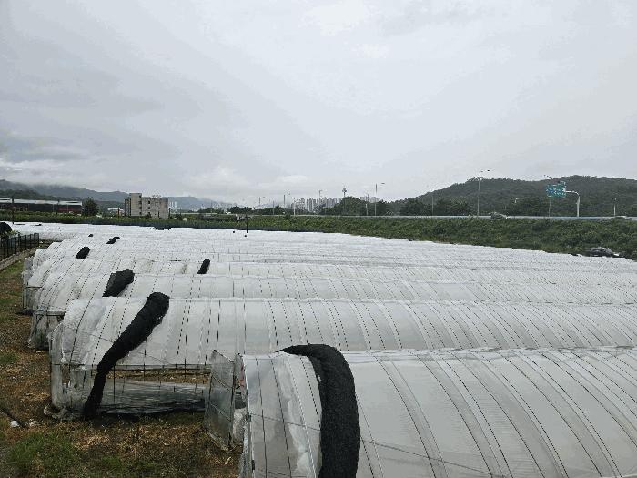 경기도 양주시 봉양동 354-1 전 경매 사진 7