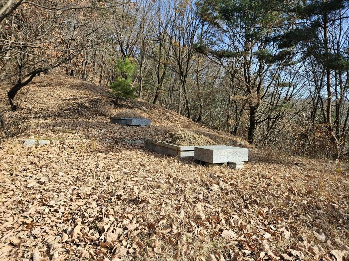 경기도 남양주시 호평동 산62 임야 경매 사진 10