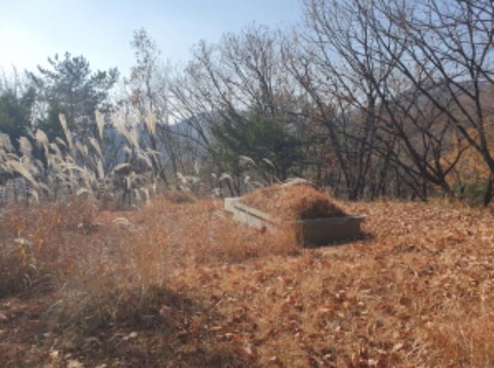 경기도 남양주시 호평동 산62 임야 경매 사진 11