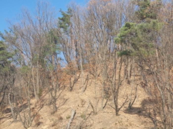 경기도 남양주시 호평동 산62 임야 경매 사진 15