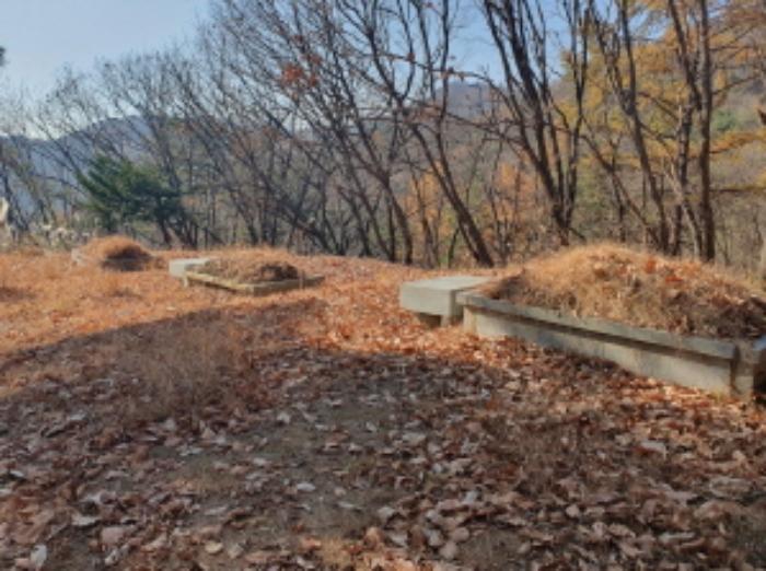 경기도 남양주시 호평동 산62 임야 경매 사진 16