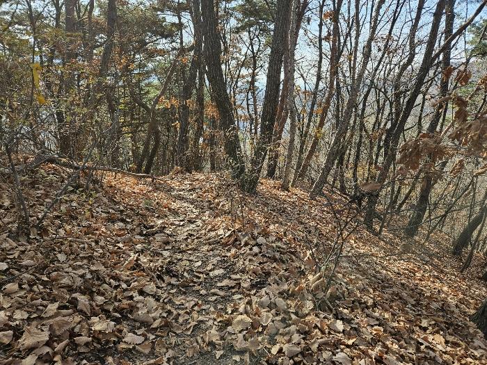 경기도 남양주시 호평동 산62 임야 경매 사진 8