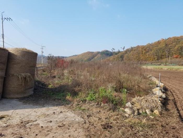 대구광역시 군위군 의흥면 연계리 18 답 경매 사진 19