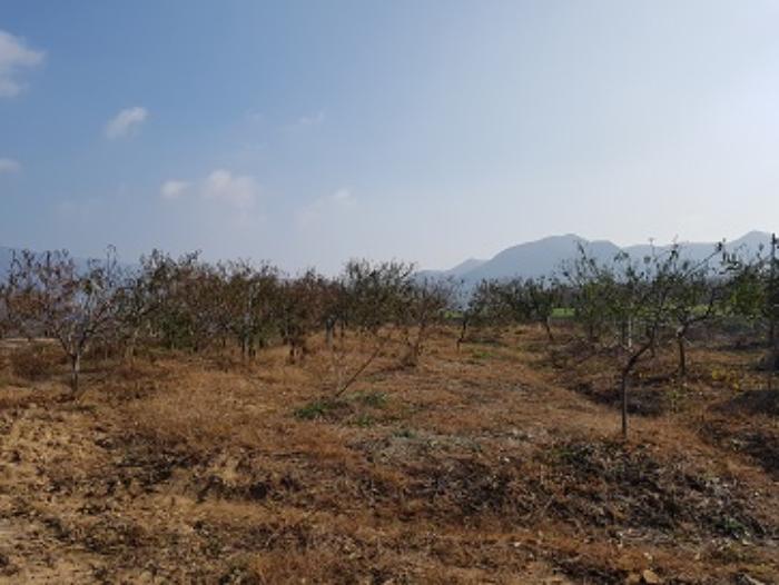 대구광역시 군위군 의흥면 연계리 18 답 경매 사진 22