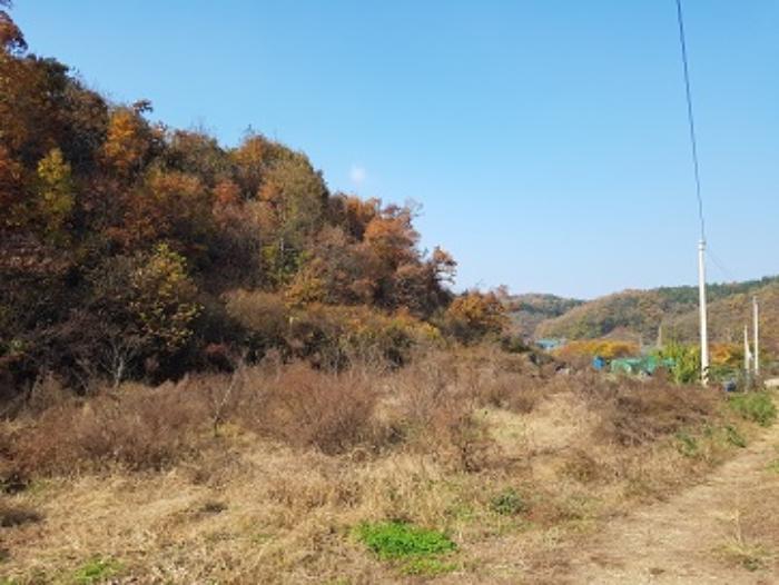 대구광역시 군위군 의흥면 연계리 18 답 경매 사진 24