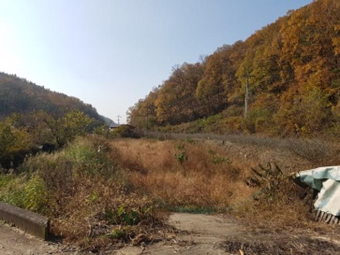 대구광역시 군위군 의흥면 연계리 18 답 경매 사진 25