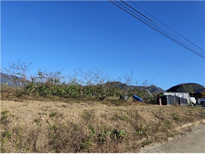 대구광역시 군위군 의흥면 연계리 18 답 경매 사진 5