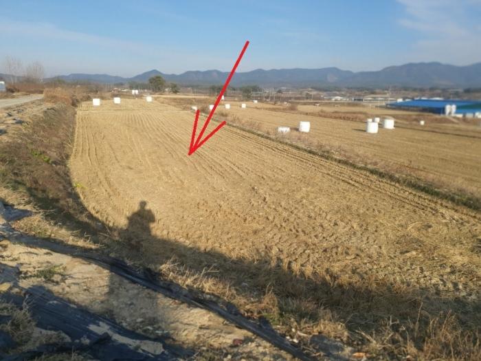 경상북도 의성군 다인면 가원리 634-2 답 경매 사진 1