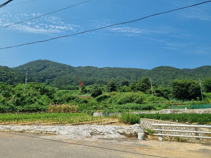 부산광역시 강서구 동선동 972 답 경매 사진 2