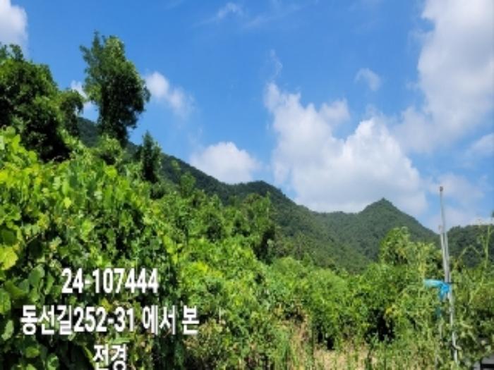 부산광역시 강서구 동선동 972 답 경매 사진 5