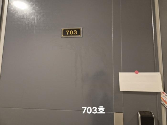 부산광역시 사하구 낙동대로457번길 17, 2층209호구) 부산광역시 사하구 하단동 618-11 도시형생활주택 경매 사진 44