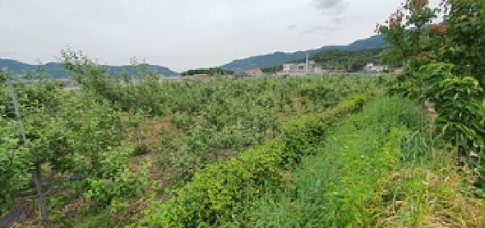 경상남도 김해시 진례면 송정리 830-4 답 경매 사진 10