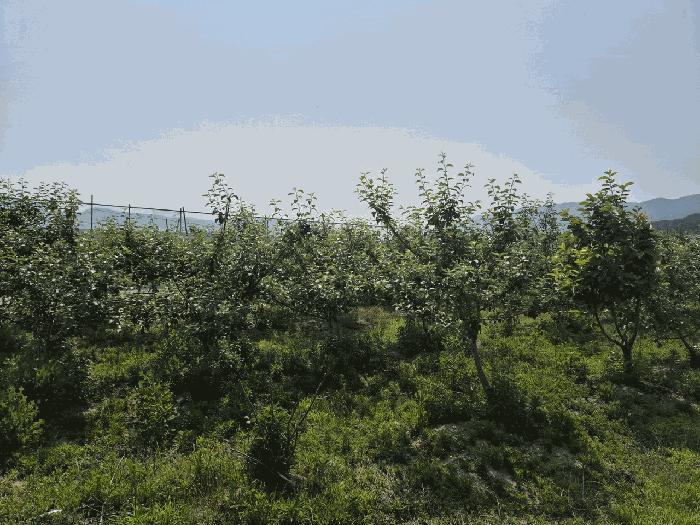경상남도 김해시 진례면 송정리 830-4 답 경매 사진 2