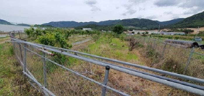경상남도 김해시 진례면 송정리 830-4 답 경매 사진 9
