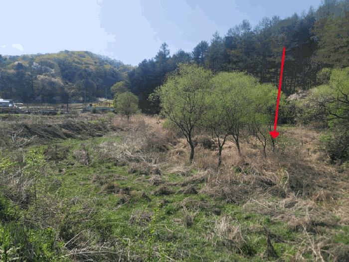 경기도 가평군 설악면 선촌리 663 북한강코아루 103동 8층 801호 아파트 경매 사진 6