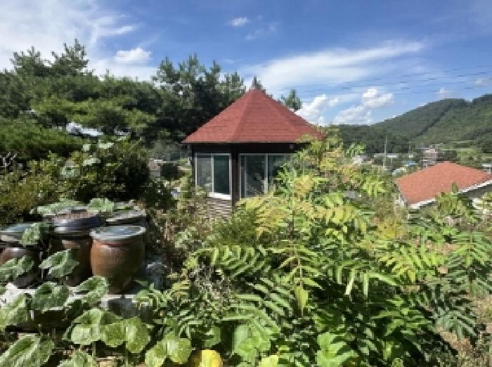 충청북도 괴산군 괴산읍 검승리 282-5 주택 경매 사진 11