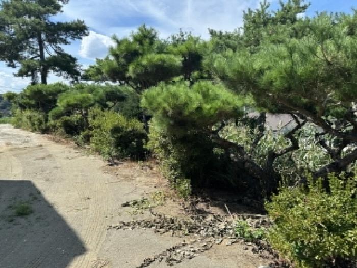 충청북도 괴산군 괴산읍 검승리 282-5 주택 경매 사진 5