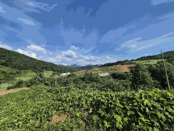 충청북도 괴산군 청천면 금평리 20-1 전 경매 사진 1