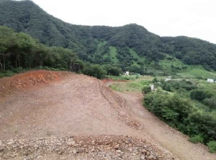 충청북도 괴산군 청천면 금평리 20-1 전 경매 사진 14