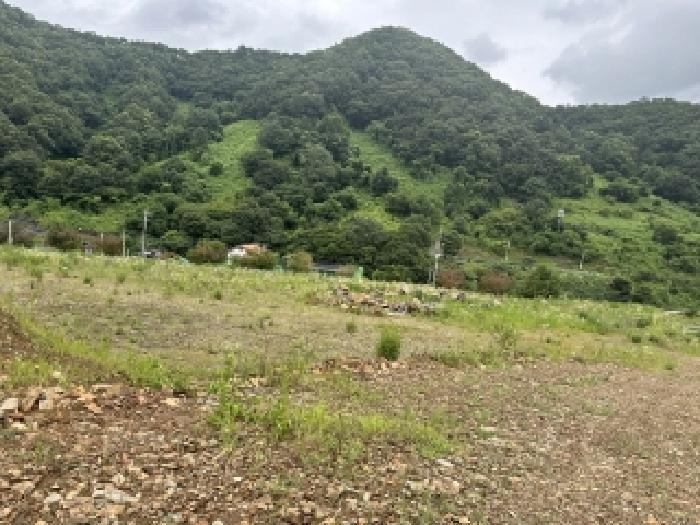 충청북도 괴산군 청천면 금평리 20-1 전 경매 사진 16