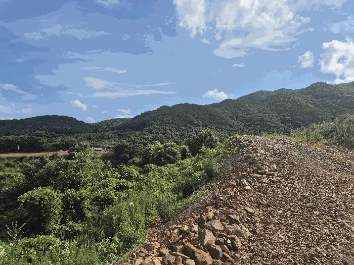 충청북도 괴산군 청천면 금평리 20-1 전 경매 사진 7