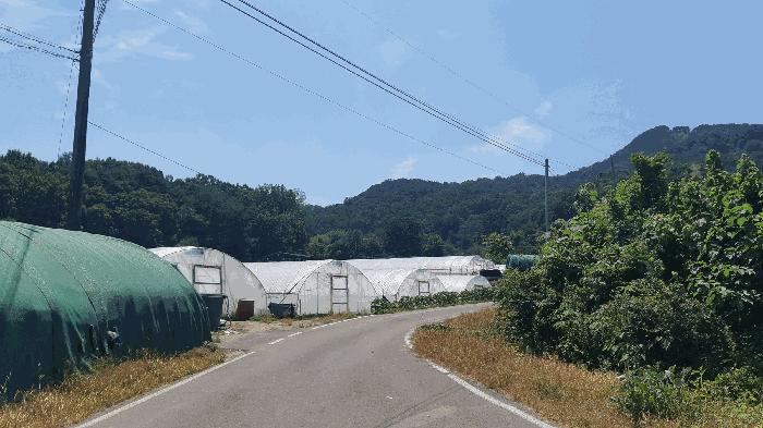 경상북도 성주군 창고