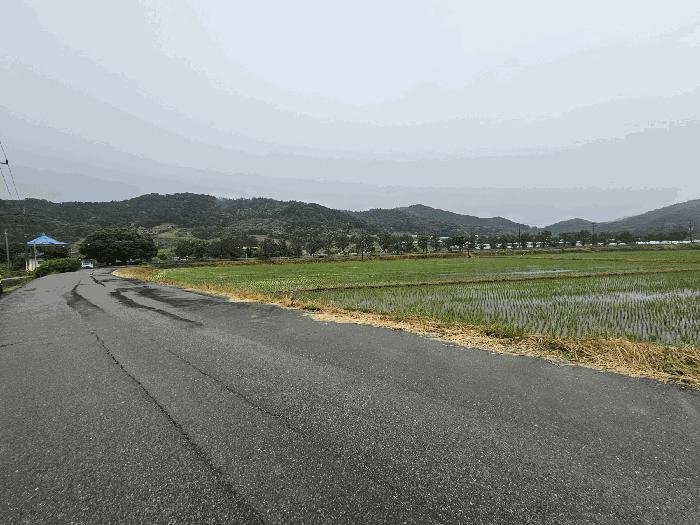 세종특별자치시 전동면 보덕리 388-1 답 경매 사진 2
